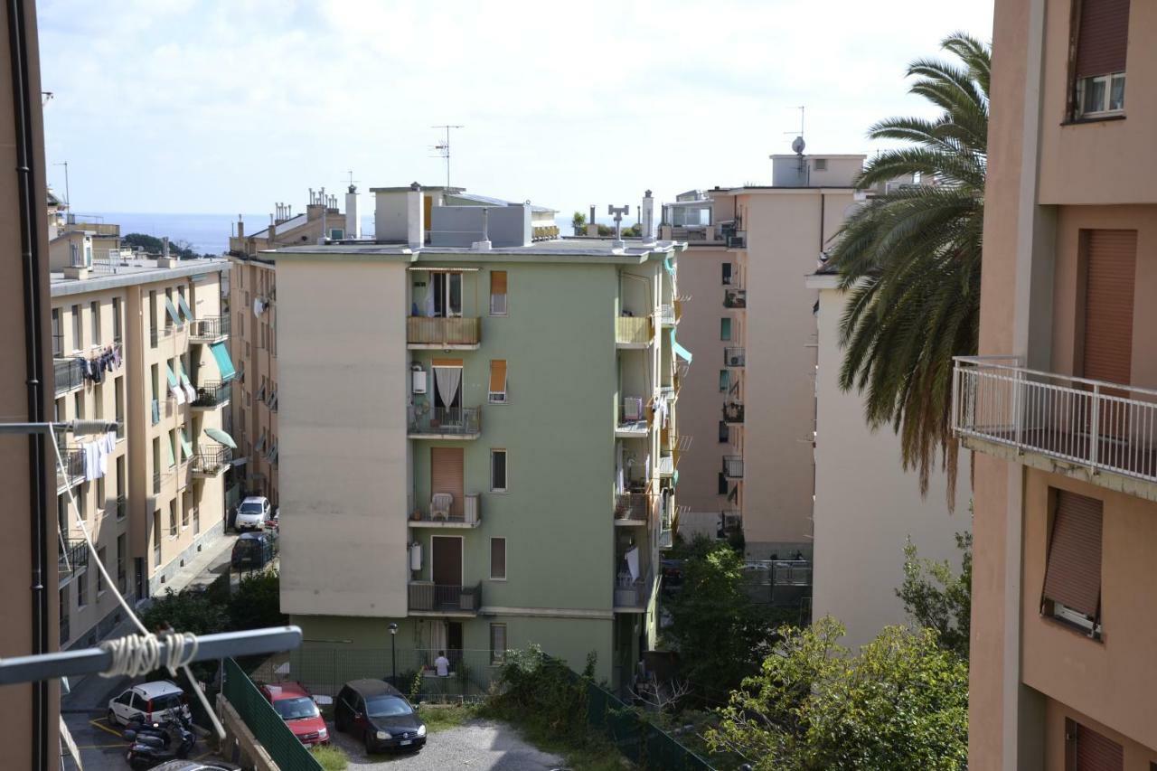 Il Nido Di Con Park Auto Macchine Piccole Segmento B Apartamento
